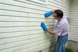 Best Insulated Siding Installation  in Hudson, CO